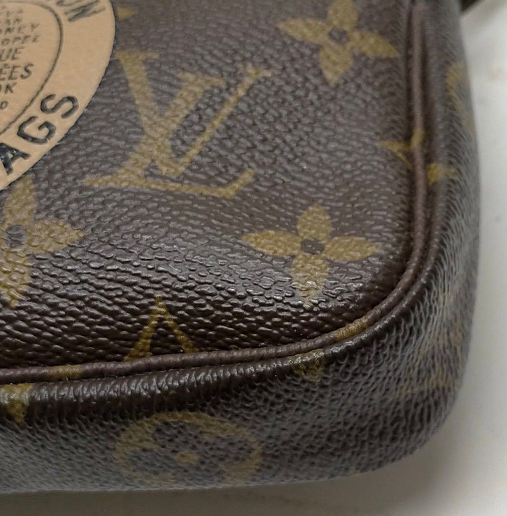 Louis Vuitton LV Accessories Pouch Mini
